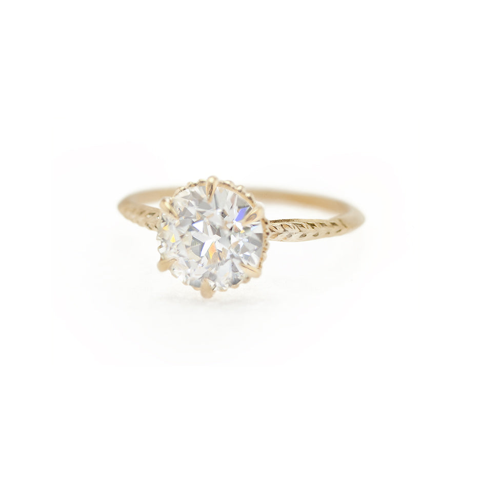 Evergreen Solitaires
