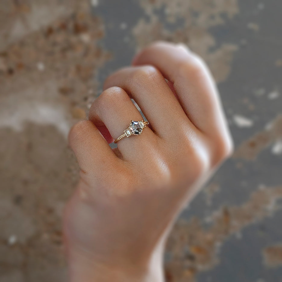 Evergreen 3 Stone Ring (LC6760)- 1.17ct Hexagon Salt and Pepper Diamond with Emerald Cut Side Stones